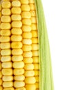 Macro corncob