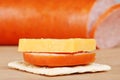 Macro cracker with cheddar cheese and kielbasa Royalty Free Stock Photo