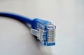 Macro cross section front angle view of blue RJ45 CAT6 shielded network data internet cable connector on gray, copyspace