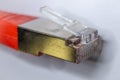 Macro cross section front angle view of red RJ45 CAT6 shielded network data internet cable clear connector