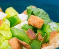 Macro Crouton Royalty Free Stock Photo