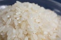 Macro cu short rice