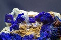 Macro deep blue azurite crystal cluster on white calcite and albite matrix