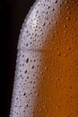 Macro detail of cold beer bottle Royalty Free Stock Photo