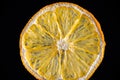 Macro detail of lemon slice isolated over black background Royalty Free Stock Photo