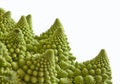 Macro detail of a part of the cabbage and broccoli plant called Romanescu Royalty Free Stock Photo