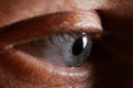 Macro detail photo of open human eye. Royalty Free Stock Photo