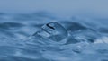 Ripples in Water Royalty Free Stock Photo