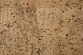 Patterned cork leather fabric Royalty Free Stock Photo