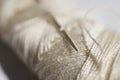 Macro detail of a silver sharp needle inserted in the spool of white thread