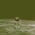 Water Drops and ripples Royalty Free Stock Photo