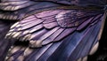 macro detail of a wing of a bird with purple and black feathers