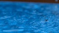 MACRO, DOF: Detailed shot of drops of rain falling into a light blue pool.