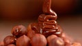 MACRO: Tasty homemade chocolate hazelnut spread is poured over raw hazelnuts. Royalty Free Stock Photo