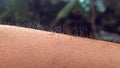 MACRO, DOF: Unknown person gets goosebumps during a cold tropical rainstorm. Royalty Free Stock Photo