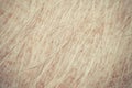 Macro of dog fur and dermatitis skin Royalty Free Stock Photo