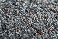 Macro of dried poppy seeds as a background