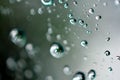 Macro droplets bubbles contrast backdrop