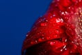 Macro of drops on red flower