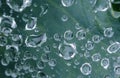 Macro drops of water on spider web on green leaf background texture Royalty Free Stock Photo