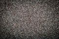 Macro dry gray poppy seeds texture