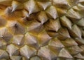 macro of durian fruit skin