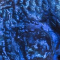 Macro of an Electric Blue Hap skin