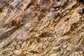 Macro. Element rock, texture of stone. Caucasus Mountains. Royalty Free Stock Photo