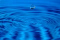 Macro elongated droplet falls on surface of water Royalty Free Stock Photo