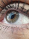 Macro eye