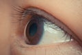 Macro of eye black color Royalty Free Stock Photo