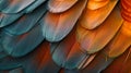 Macro feathers pattern background Royalty Free Stock Photo