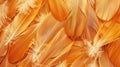 Macro feathers pattern Royalty Free Stock Photo
