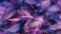 Macro feathers pattern Royalty Free Stock Photo