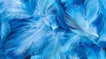 Macro feathers pattern Royalty Free Stock Photo