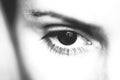 Macro female eye and eyebrow, black and white photo Royalty Free Stock Photo