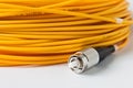 Macro Fiber optic patchcord on white background Royalty Free Stock Photo