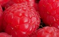 Raspberry close-up photo, macro focus bracketing, pink-red, hairs, raspberry background, Rubus Idaeus Royalty Free Stock Photo