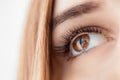 Macro focus woman brown eye with long black lashes and eyebrow Royalty Free Stock Photo