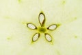 Macro food collection - Green apple