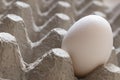 White egg on eggs box. Macro food shot.