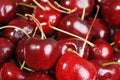 Macro fresh cherries shallow DOF