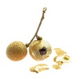 Macro fresh longan Royalty Free Stock Photo