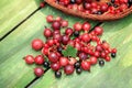 Macro fresh organic red and black currants, raspberries, gooseberries on a wooden aged green background