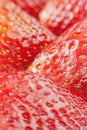 Macro fresh strawberry