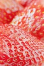 Macro fresh strawberry