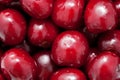 Macro. Fresh sweet cherries.