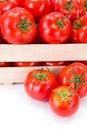 Macro of fresh tomatoes (Solanum lycopersicum)