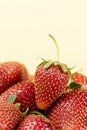 Macro fresh whole strawberry, vertical background, space for text. Royalty Free Stock Photo