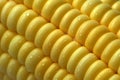 Macro of fresh yellow corn kernels with water drops Royalty Free Stock Photo